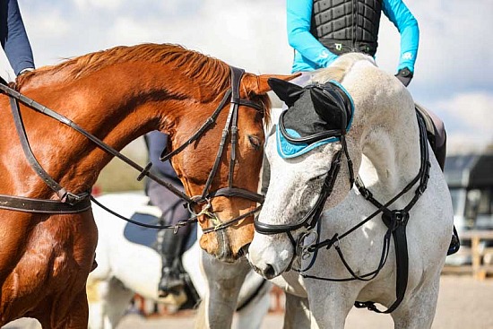 TWRC Pontispool Camp 15th & 16th March 2025