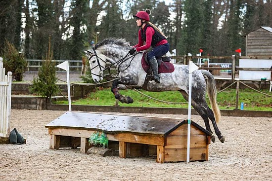 Bicton Arena Eventing Clinic 1st February 2026
