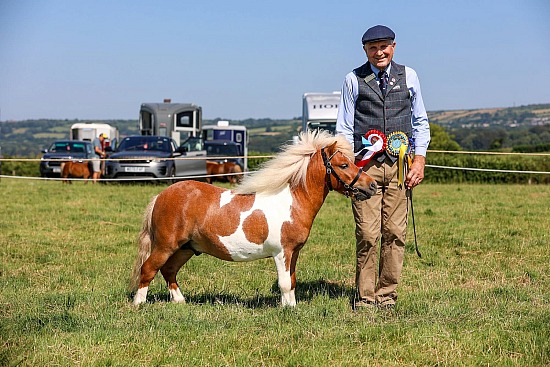 Liskeard Show 2026