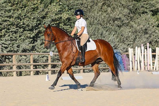 Senior LME Camp + Dressage Evening