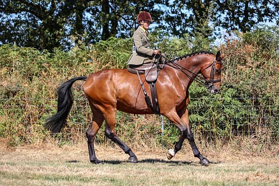 Okehampton Show 2026